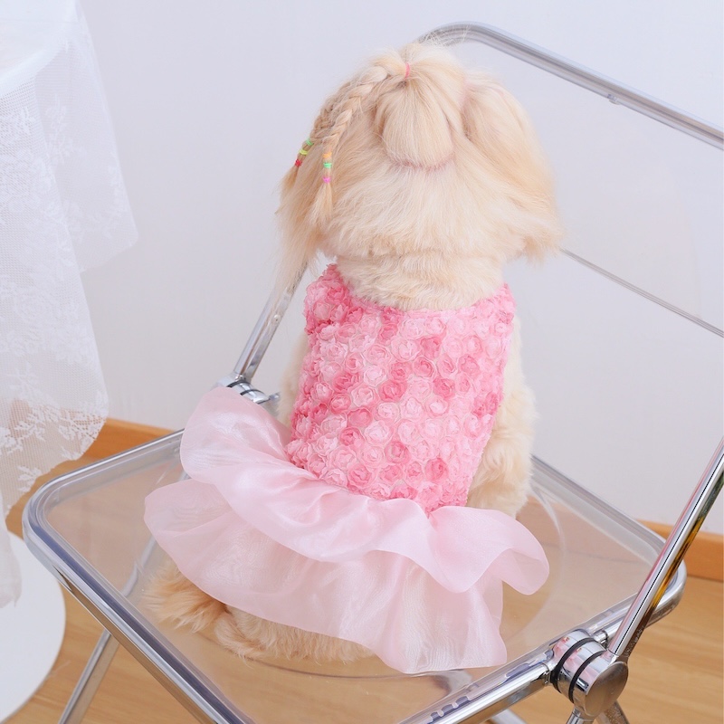 Rose Floral Cake Jurk voor kle - Summer Rose Clothing recensie en prijs