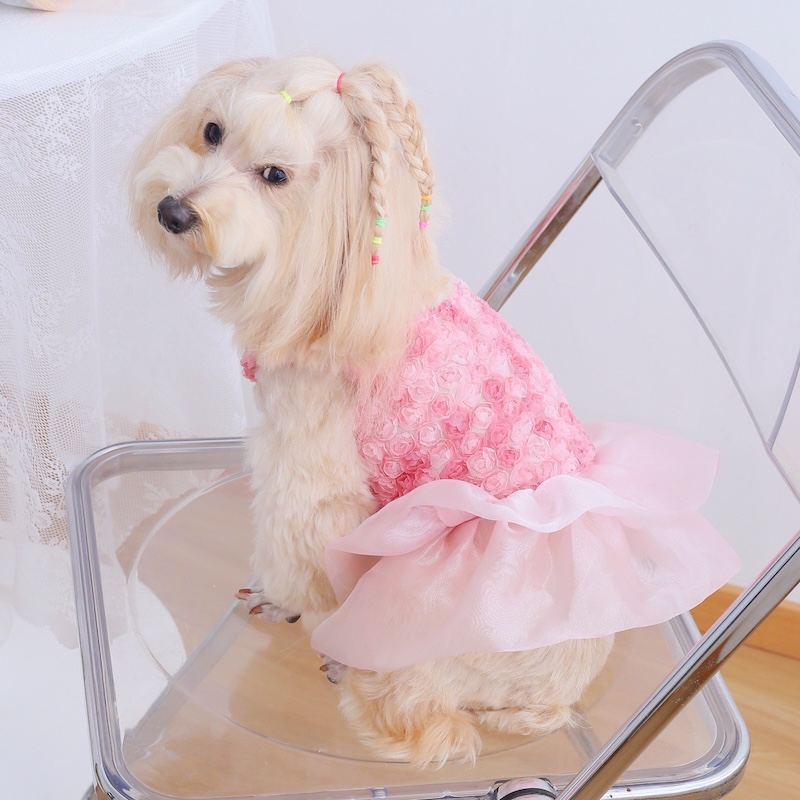 Rose Floral Cake Jurk voor kle - Summer Rose Clothing recensie en prijs